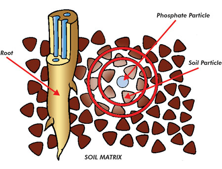 Soil Matrix