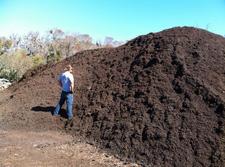 checking compost in field